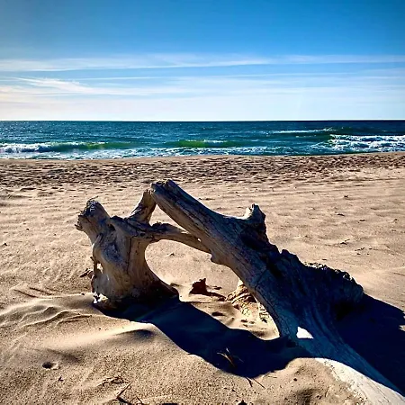 W Marina Royale 4* Darlowko